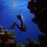 6-Day Ile Sainte Marie Ultimate Island Hopping and Scuba Diving Adventure