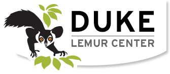 duke-lemur-center